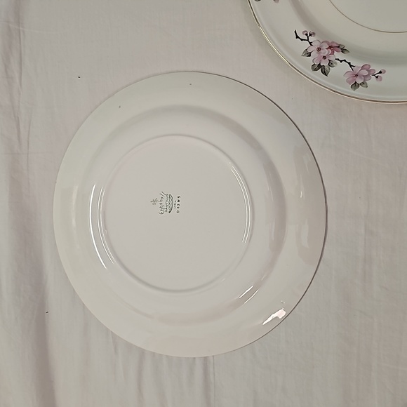 1950s Homer Laughlin Eggshell Nautilus plates cherry blossom pattern (2) - Picture 6 of 7